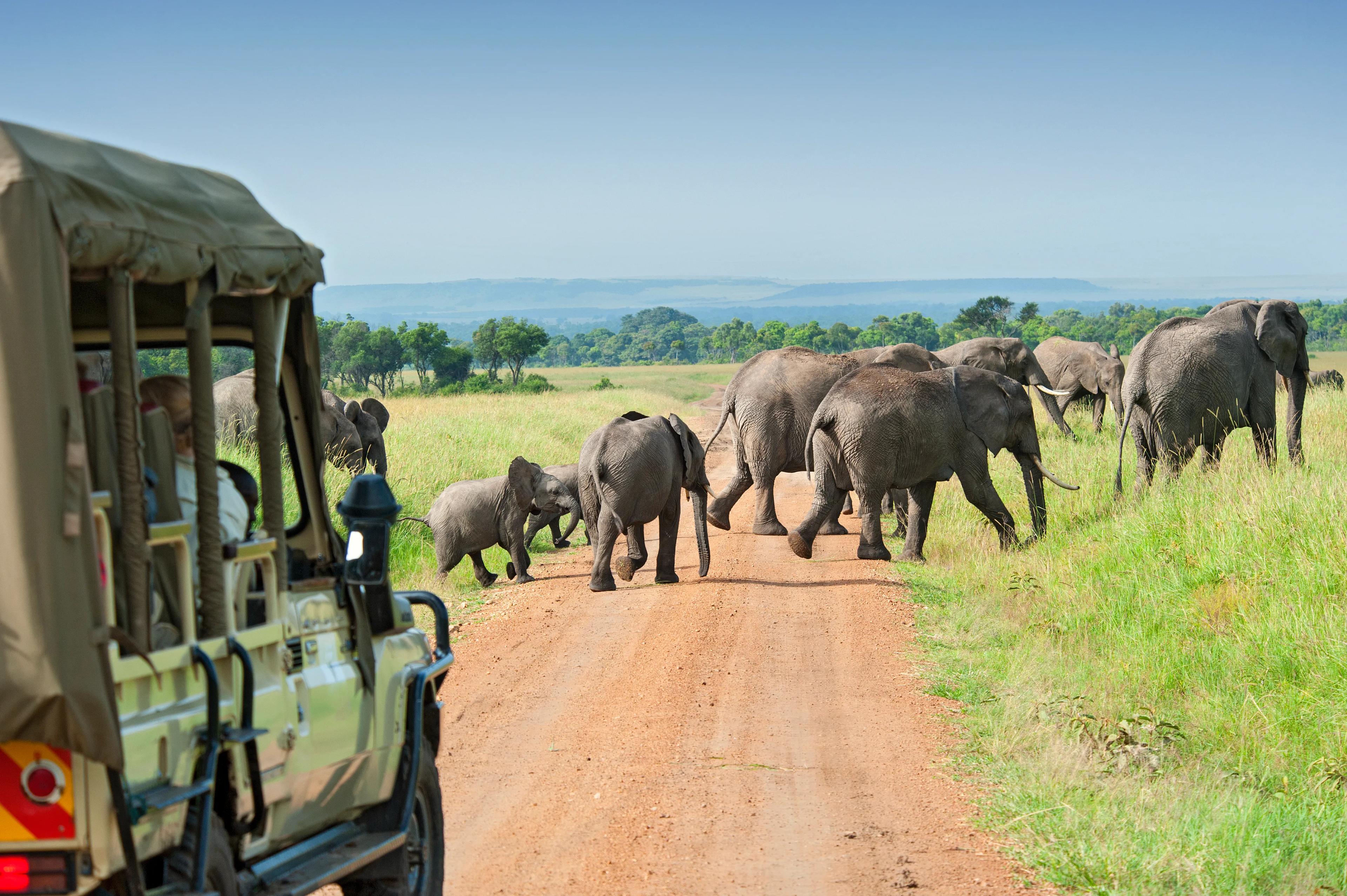 South Africa Escorted 19 Day Tour background